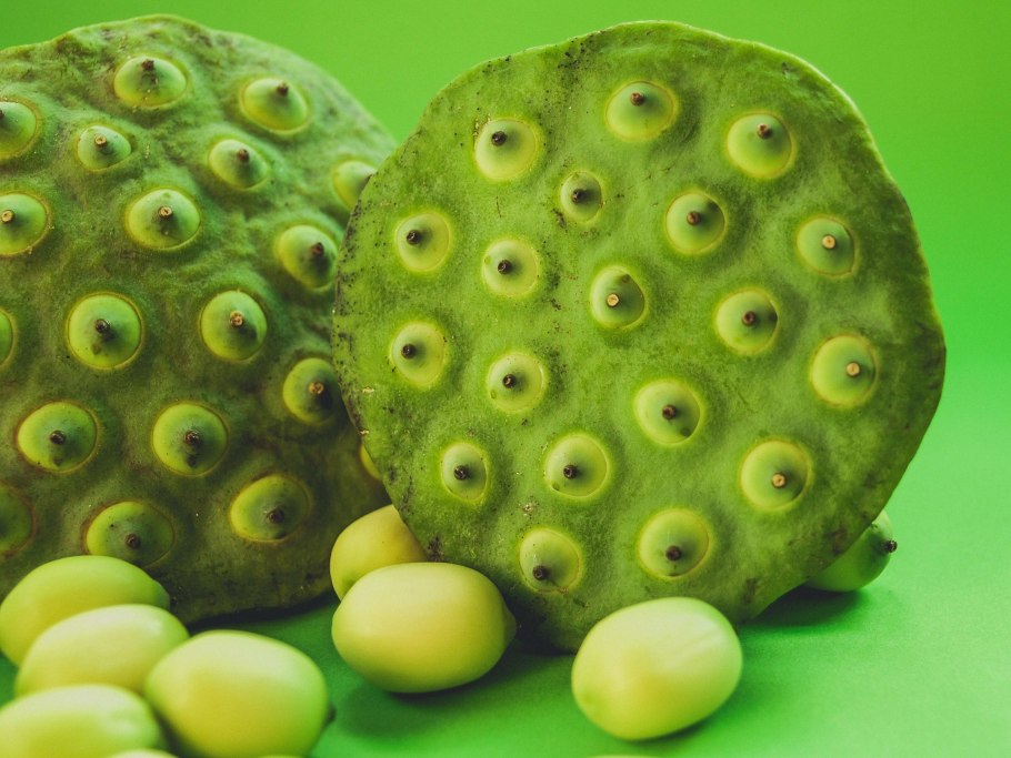 Закладка апельсин