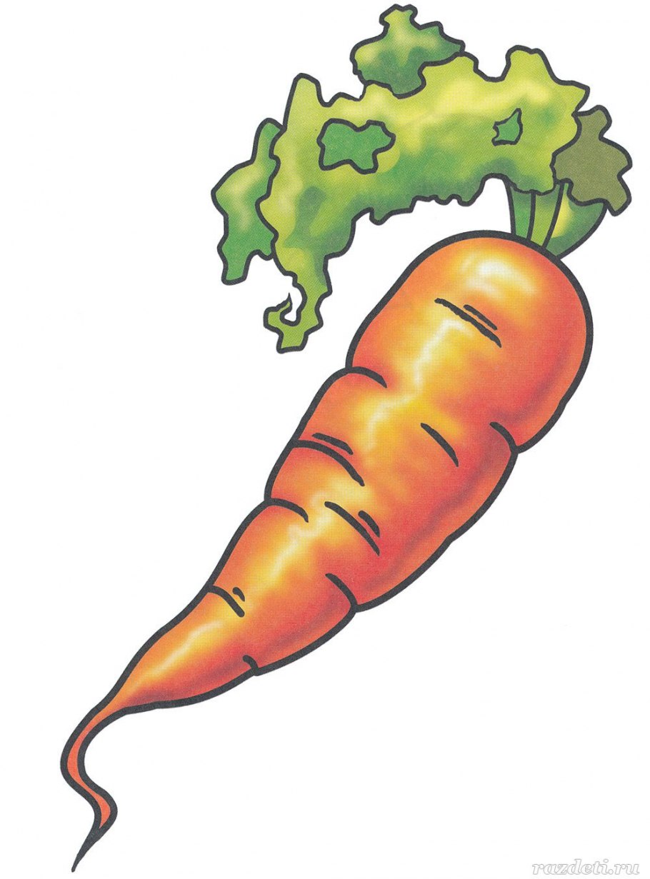 Овощи и фрукты раскраска для детей