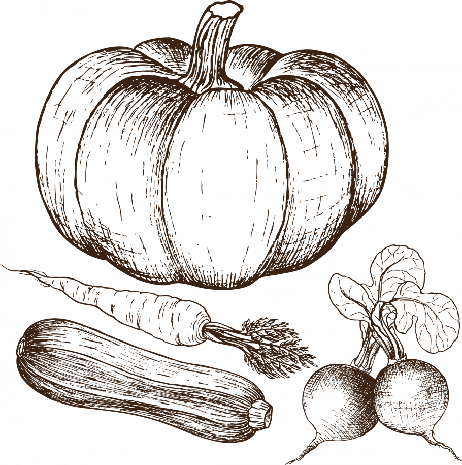 Нарисовать фрукты и овощи