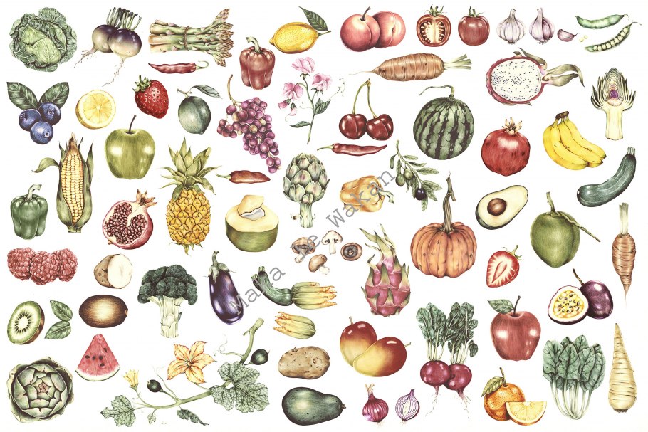 Морковь раскраска