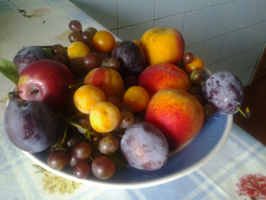 Производители ягод