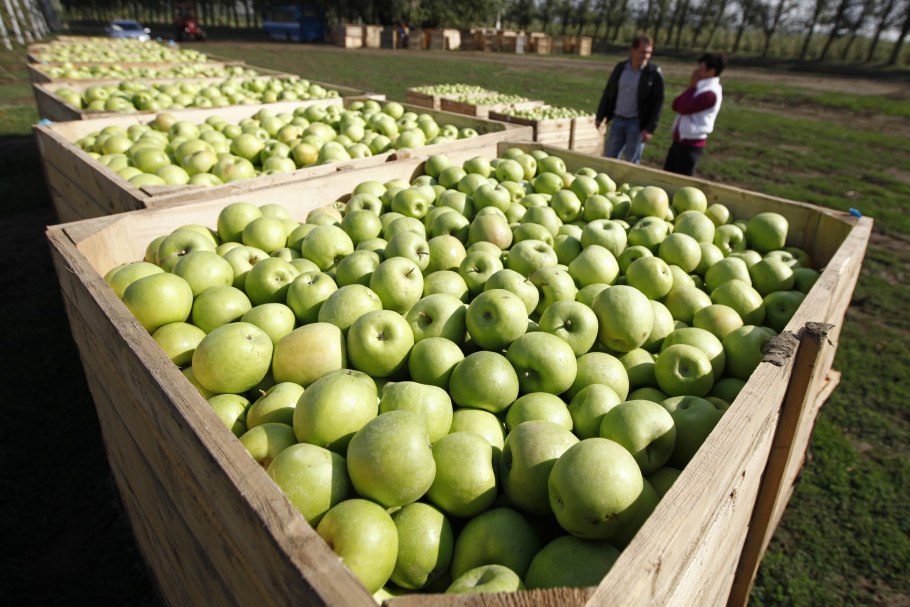 Фрукты Краснодарского края