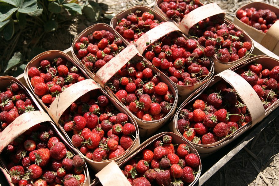 Выкладка овощей и фруктов на рынке