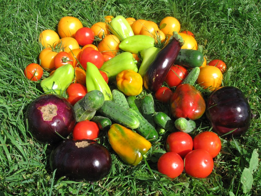 Овощи и фрукты с огорода
