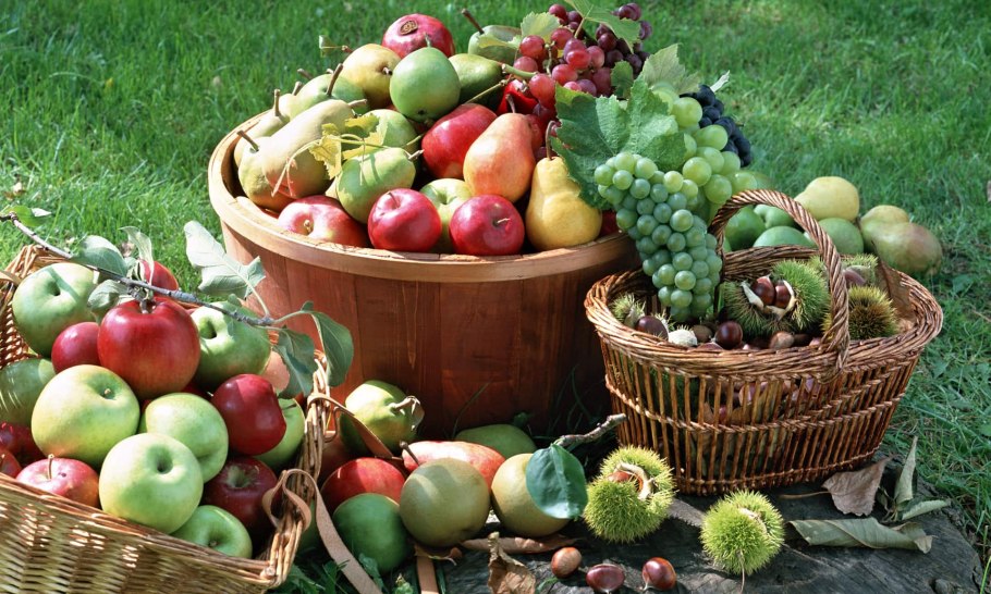 Огородный миксбордер