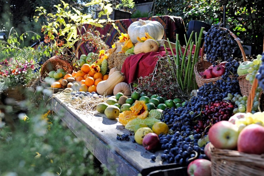 Урожай фруктов в саду