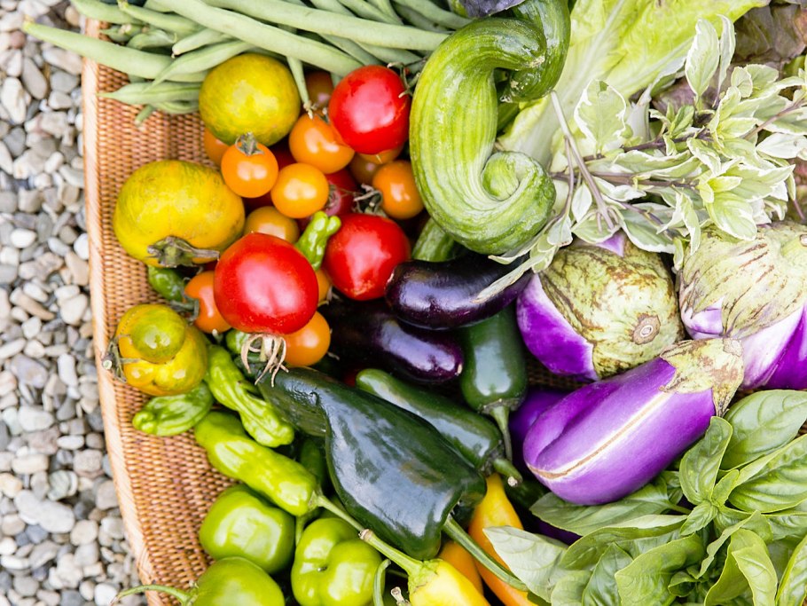 Сад и огород. Урожай