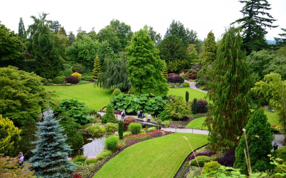 Сад Яна сламы коллекция растений