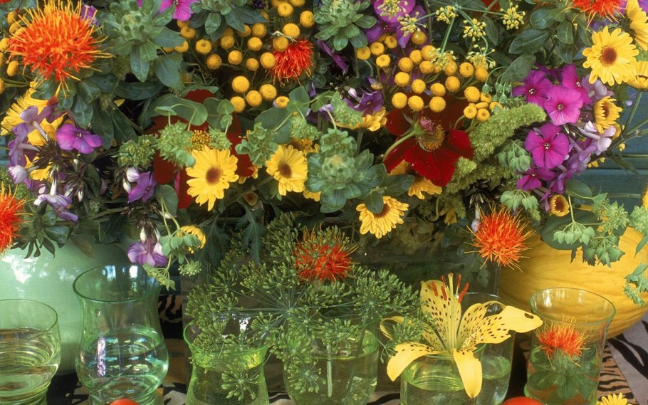 Осенние цветы