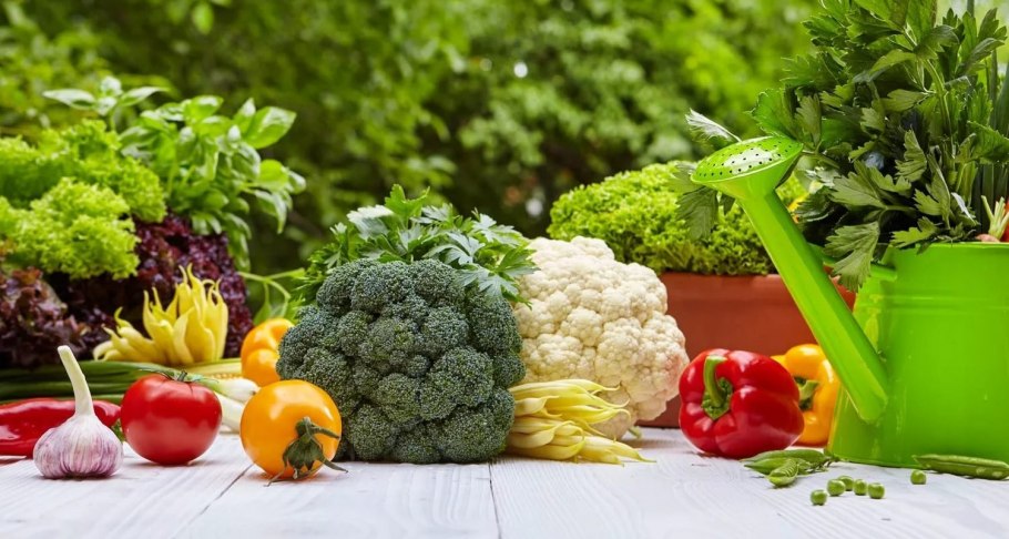 Сад и огород овощи