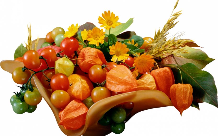 Осенние овощи