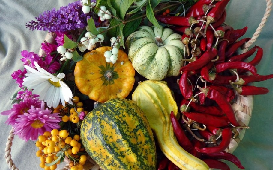 Цветы овощи и фрукты