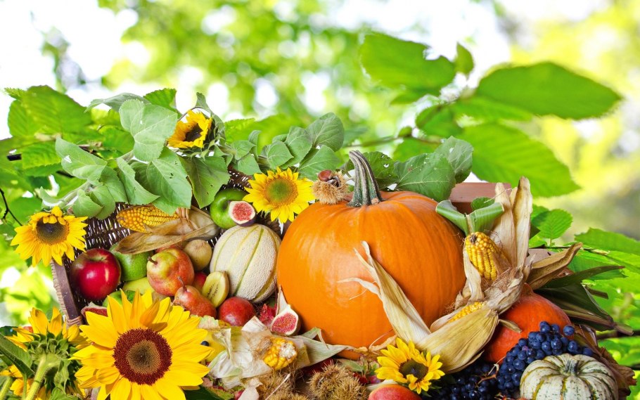 Осенний урожай