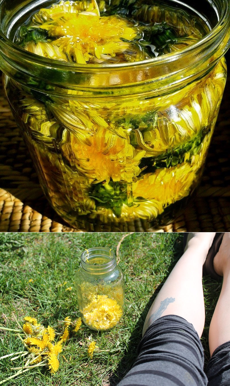 Настой из одуванчиков