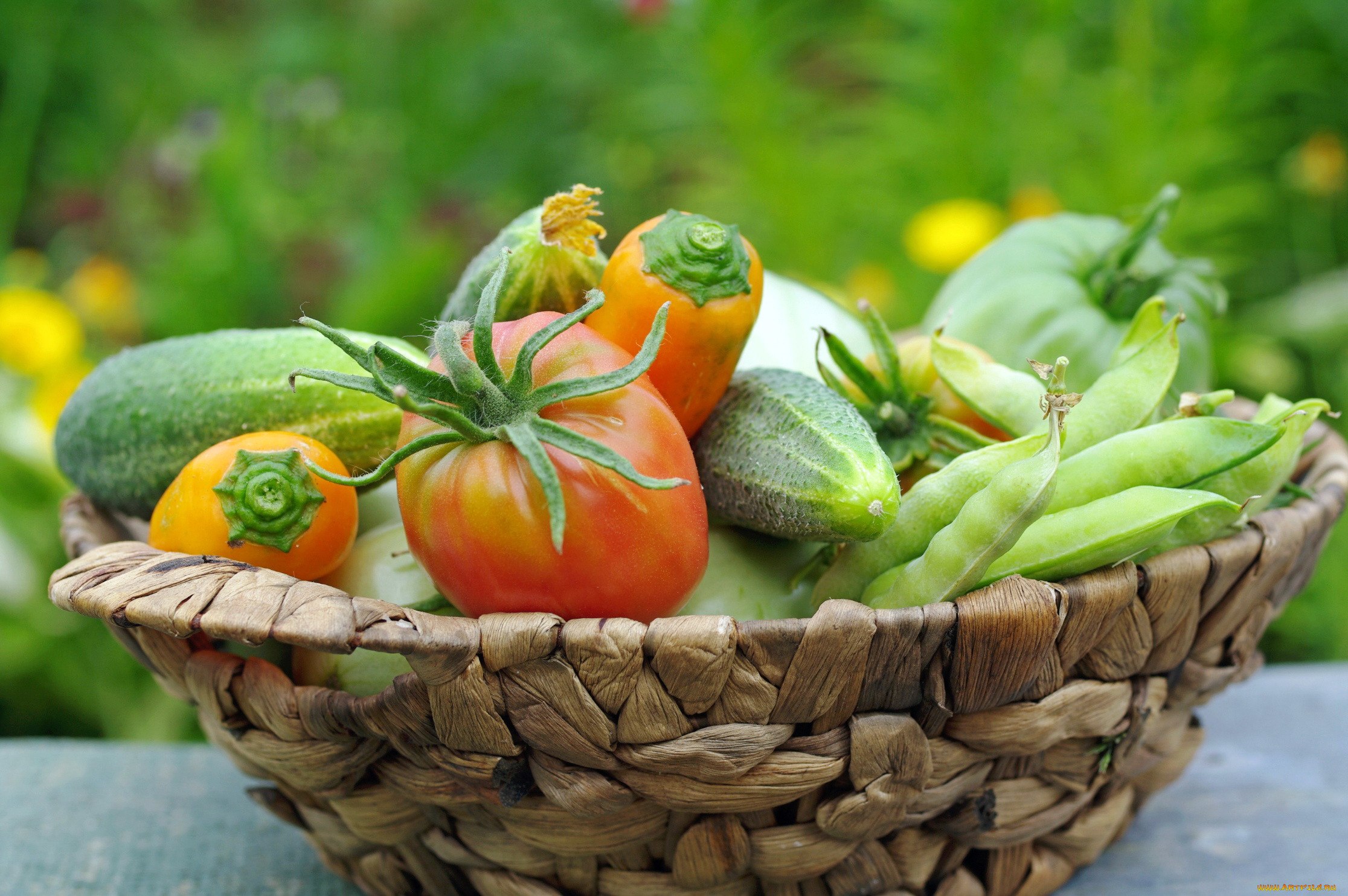 Урожай 1 цена. Томаты, перцы, огурцы, цуккини. Летние овощи. Огурцы и помидоры. Овощи на столе.