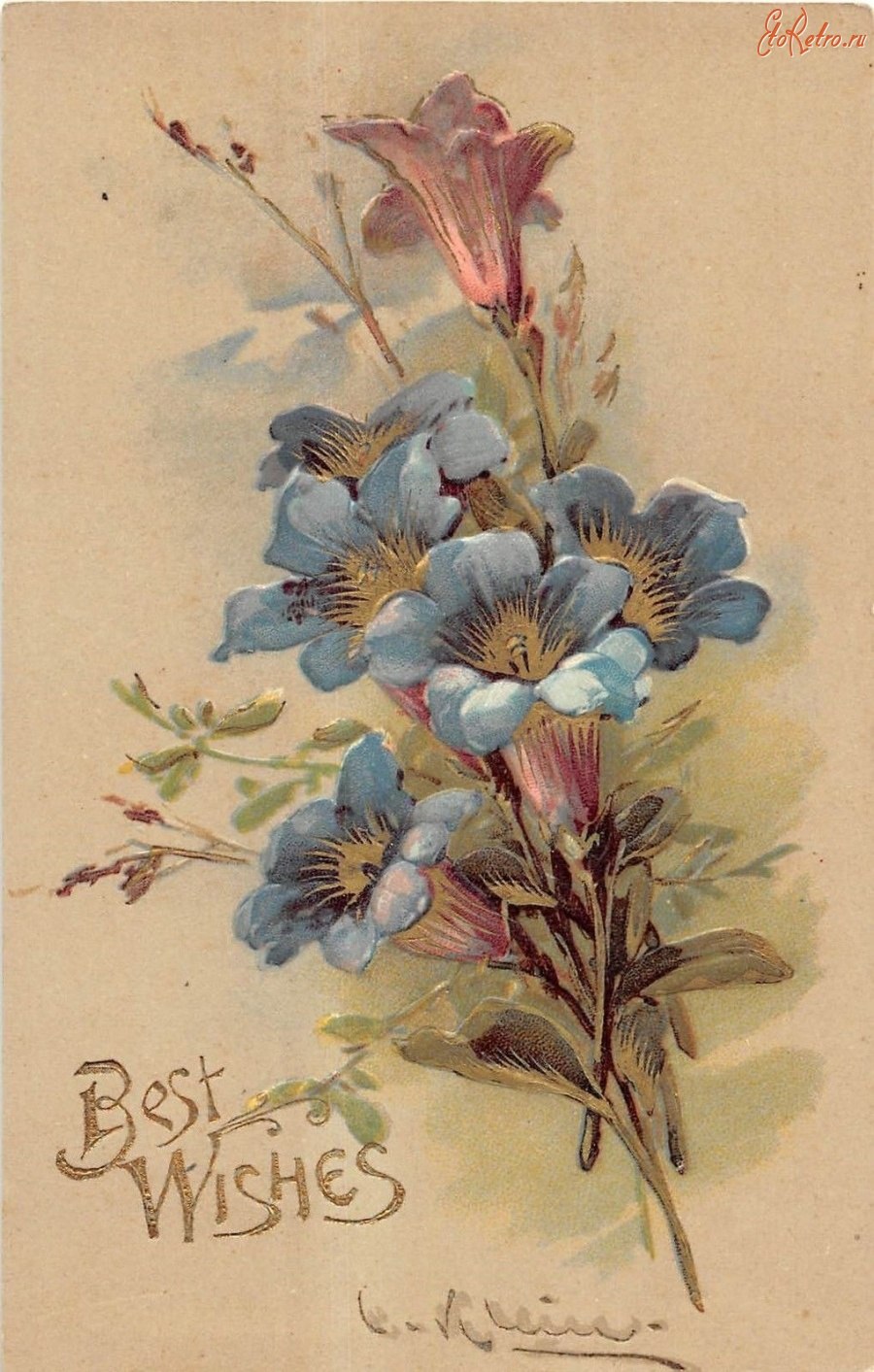 Старушка с цветами