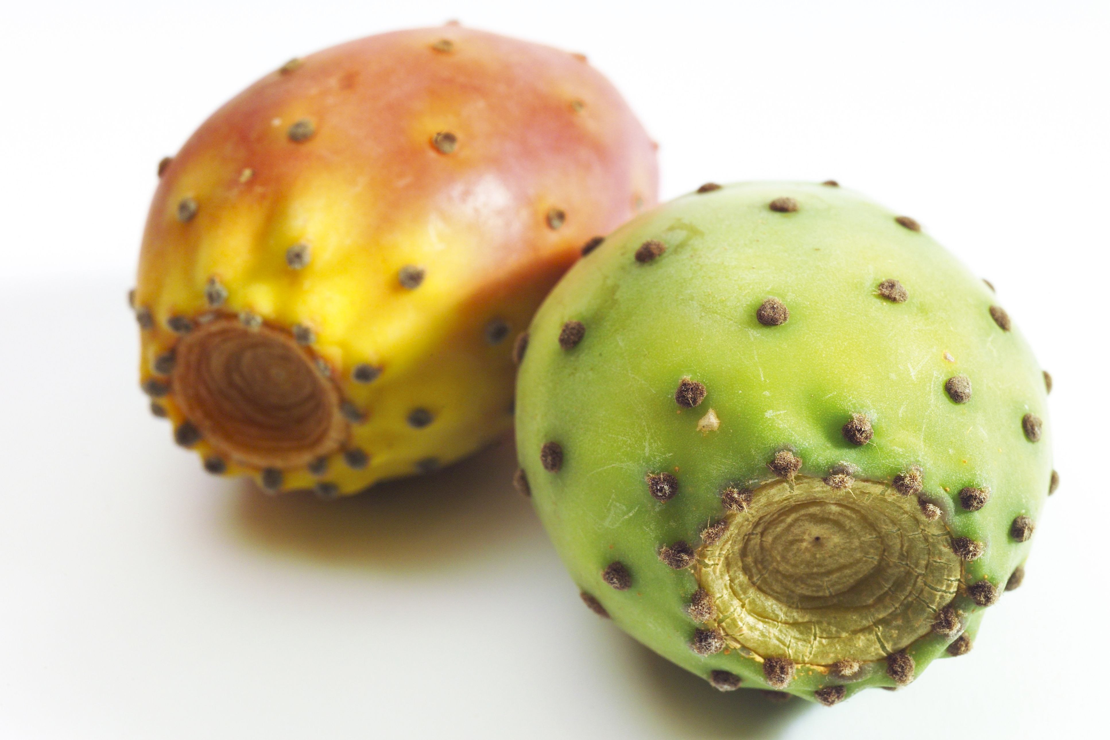 Prickly pear. Prickly Pear фрукт. Prickly Pear Cactus. Опунция плоды. Колючая груша.