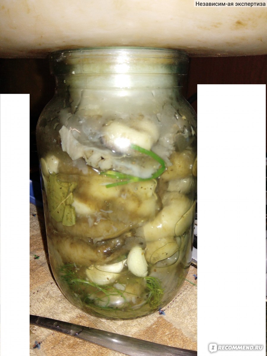 Измельченные грибы