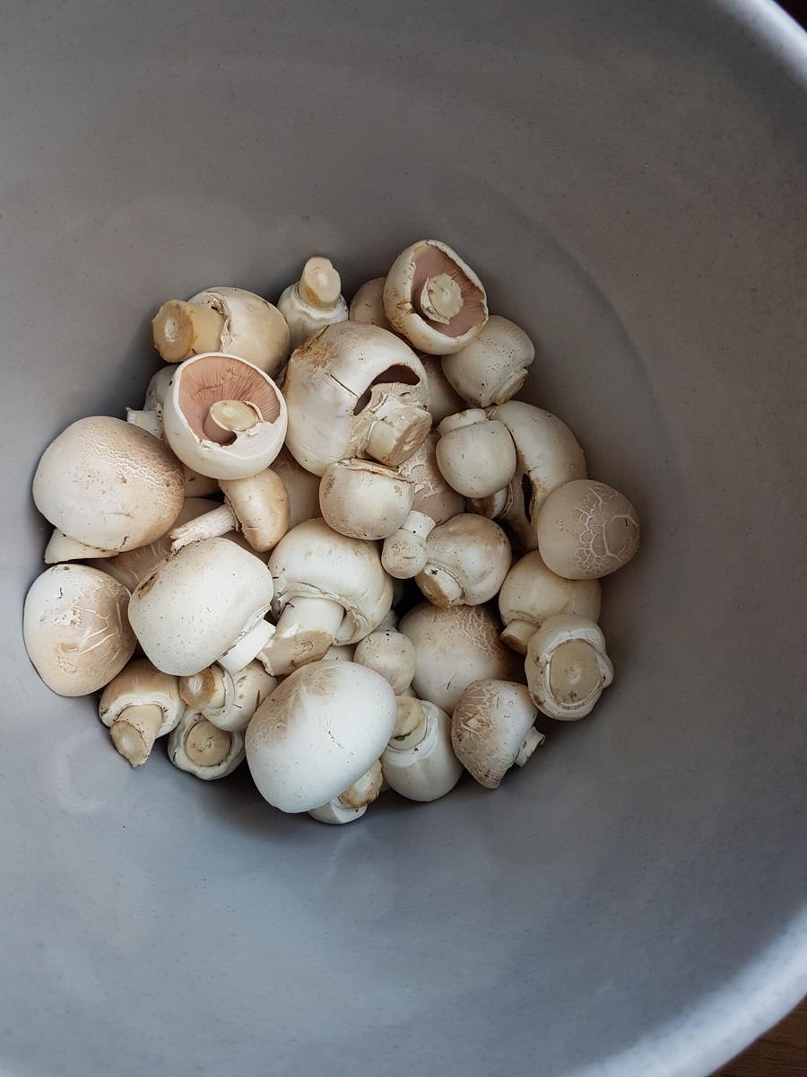 Шампиньоны Лесные ложные