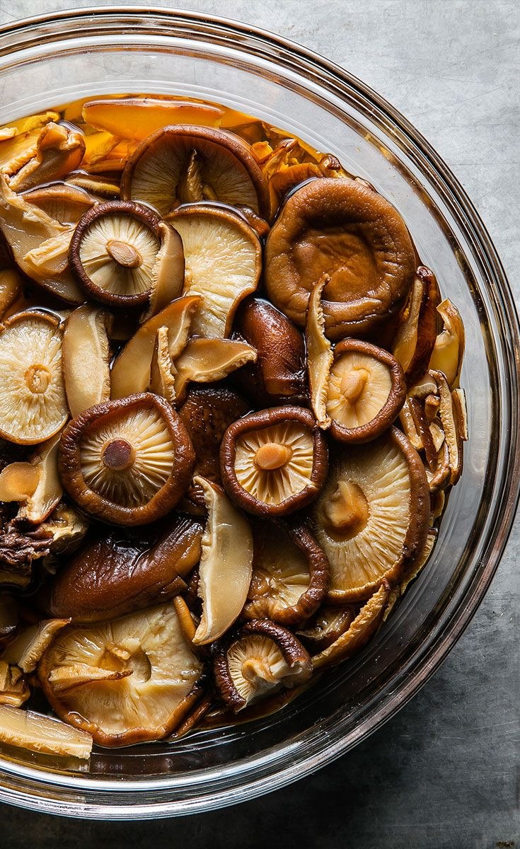 Лекарственные грибы