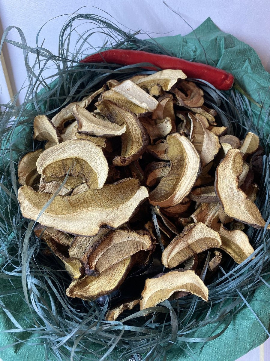 Боровик гриб большой