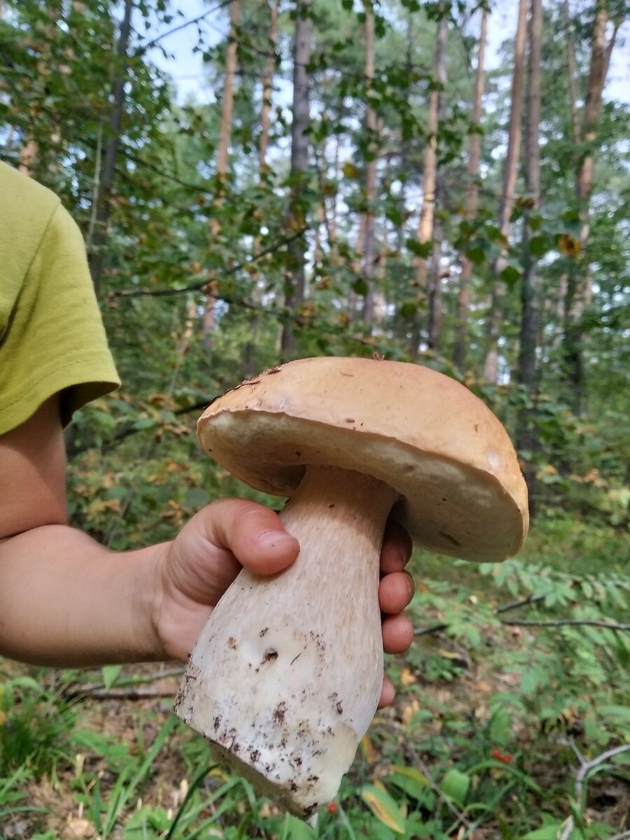 Засушливые территории России их обитатели