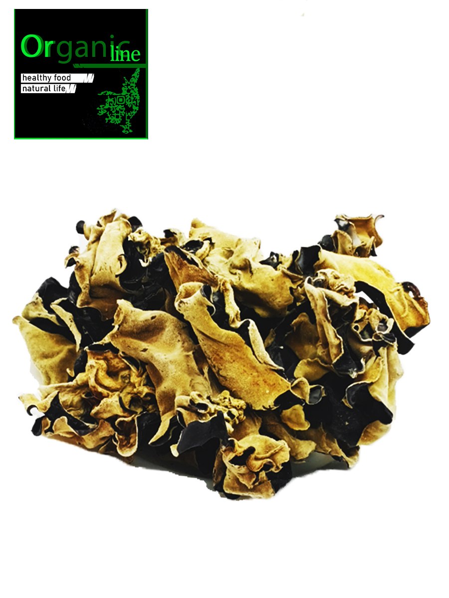 Древесный гриб муэр