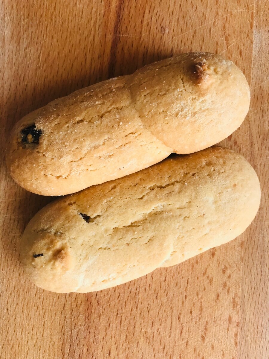 Гриб синюга (49 фото)