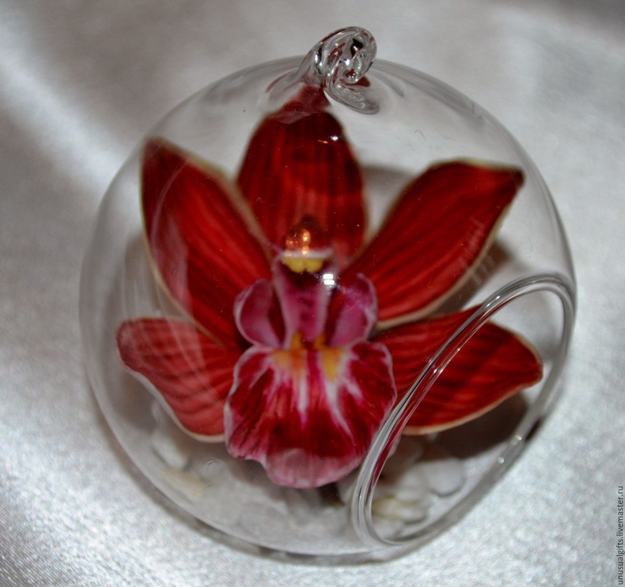 Орхидеи в стекле