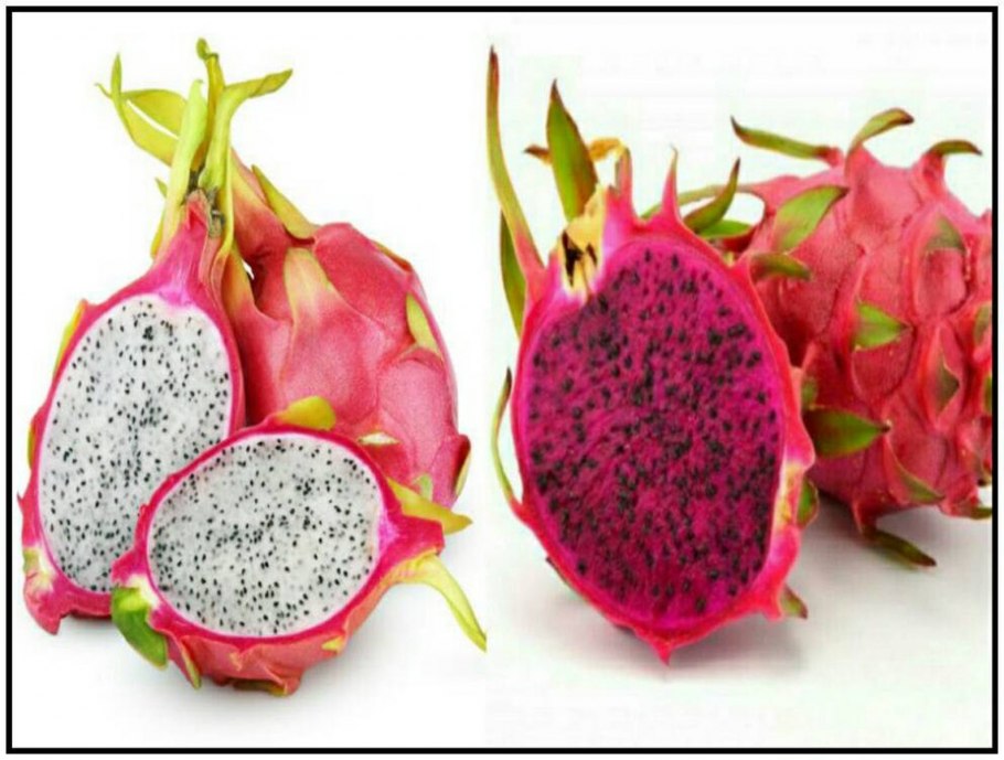 Сердце дракона (питайя)