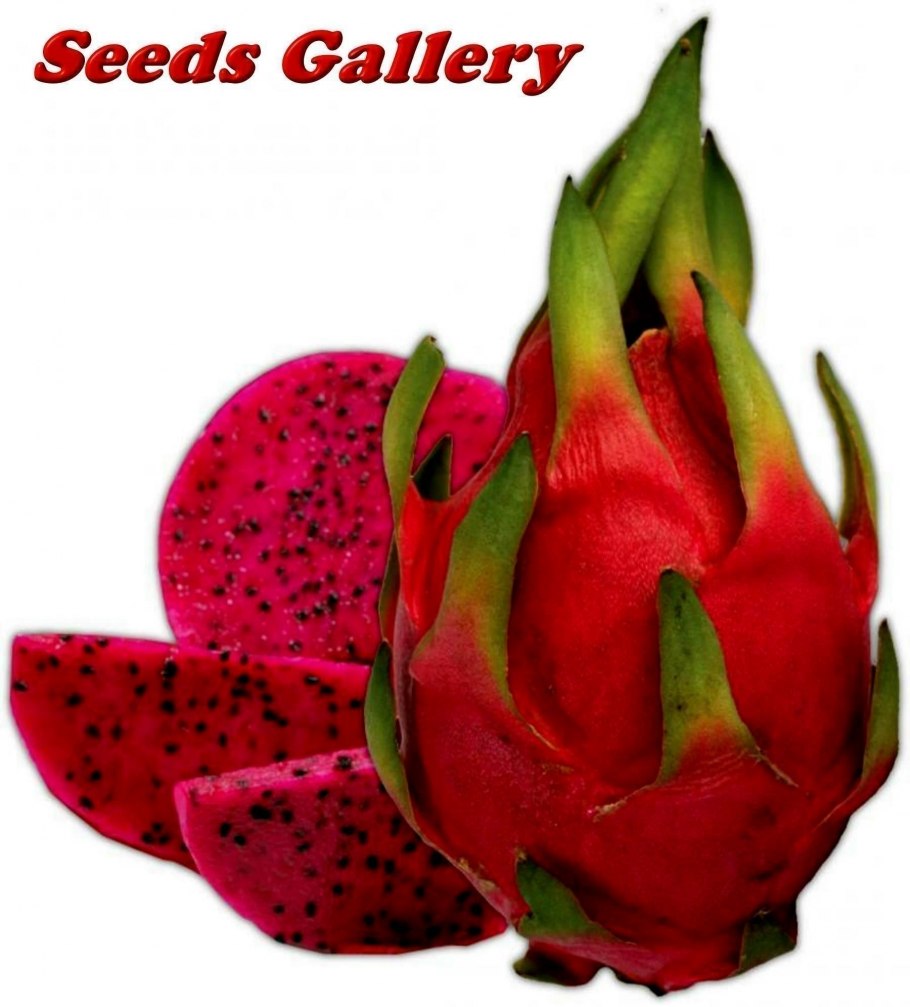 Что такое драгон фрукт питахайя