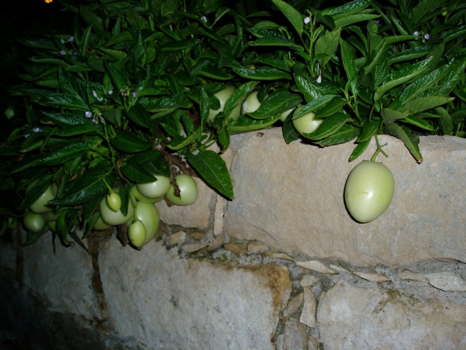 Продуктовые рынки на Кипре