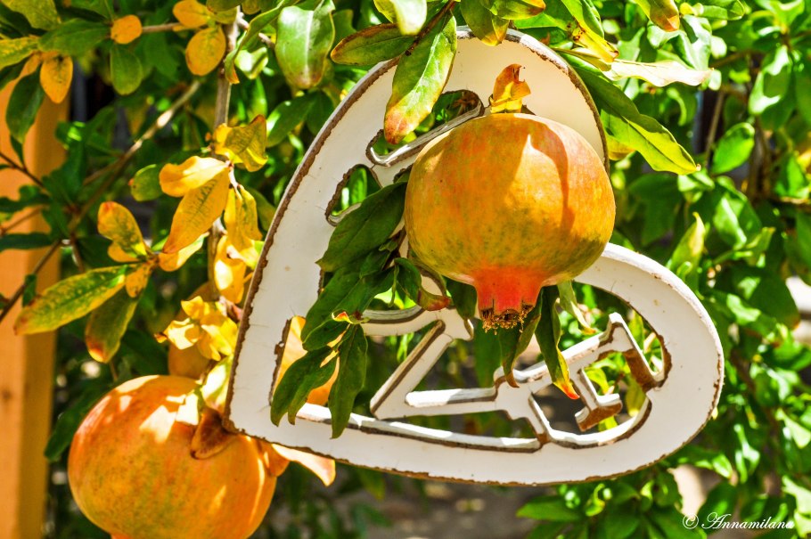 Гранат символ Кипра