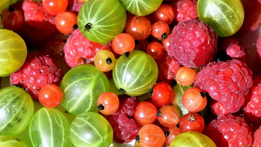 Малина ежевика крыжовник