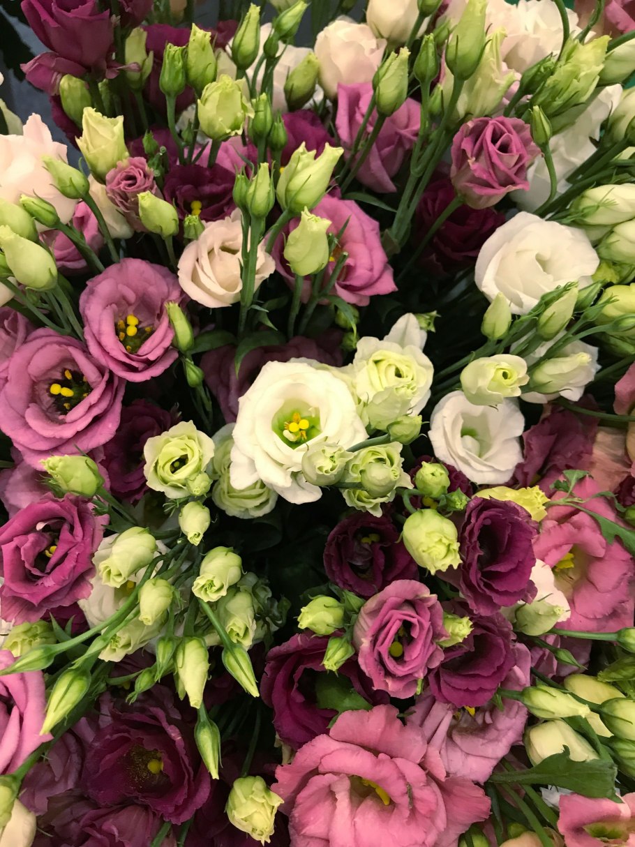 Эустома лизиантус кустовая