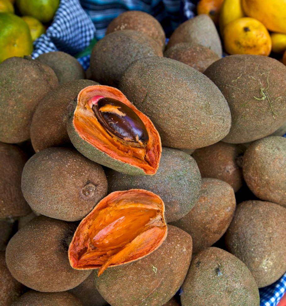 Мамей сапота