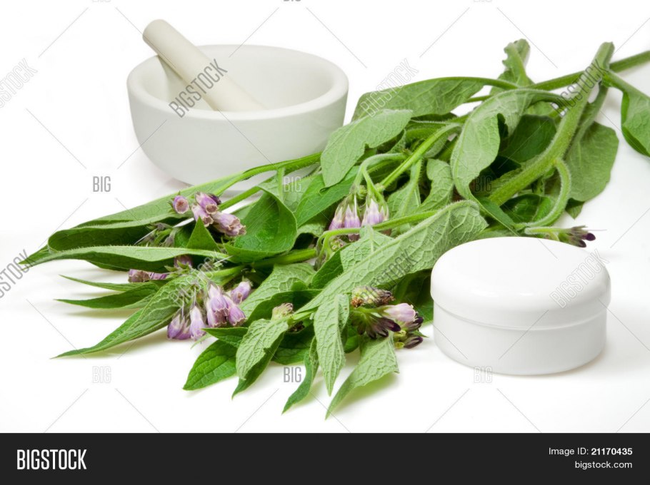 Мази из лекарственных растений