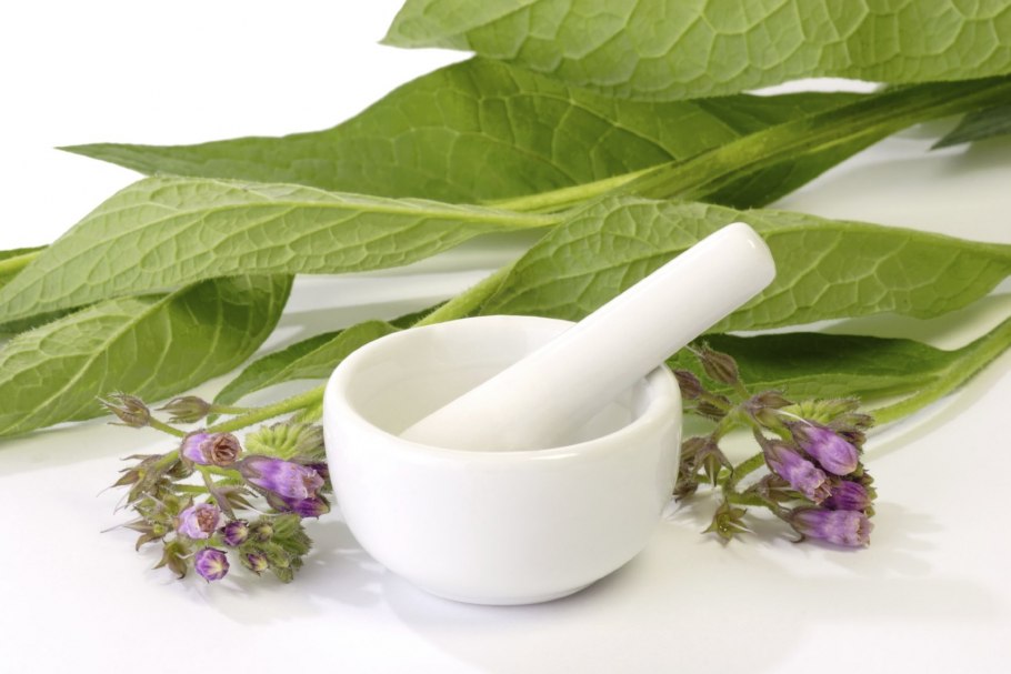 Лекарственные растения в косметологии