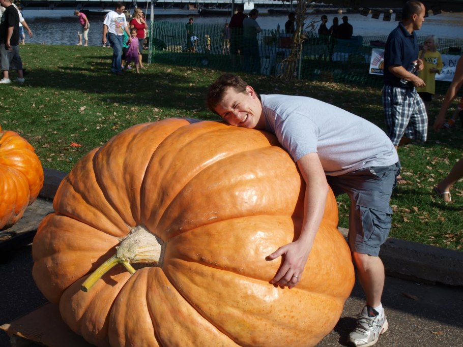 Тыква гигантская