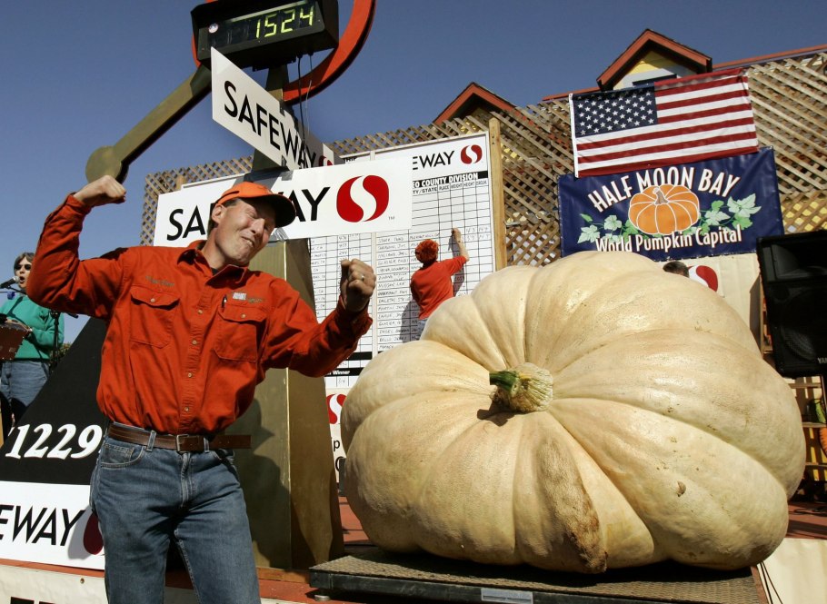Самые большие овощи и фрукты