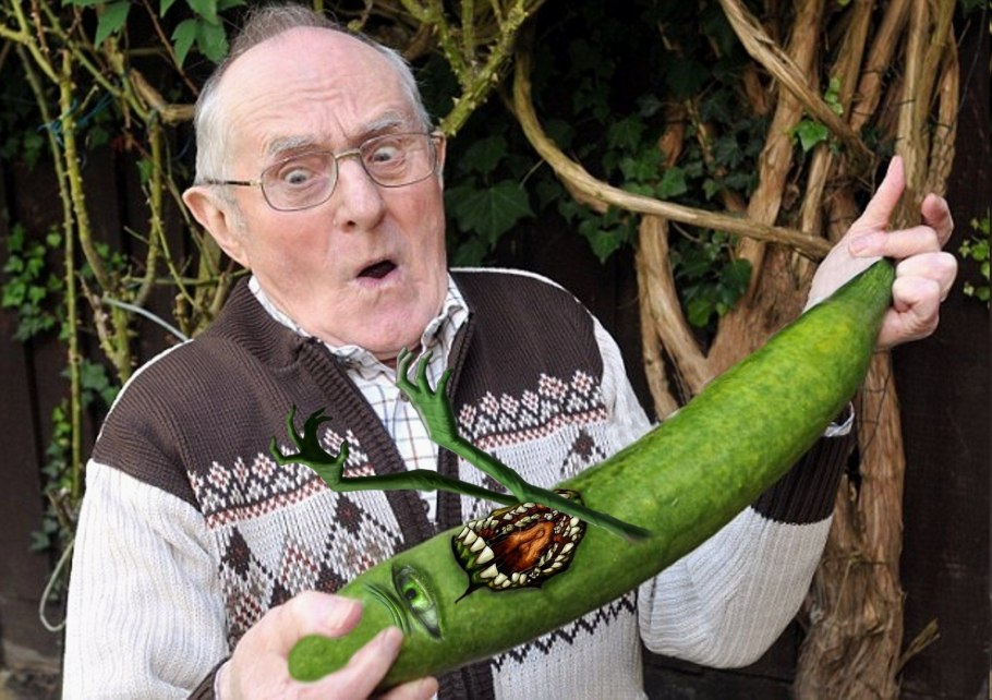 Самый большой огурец в мире