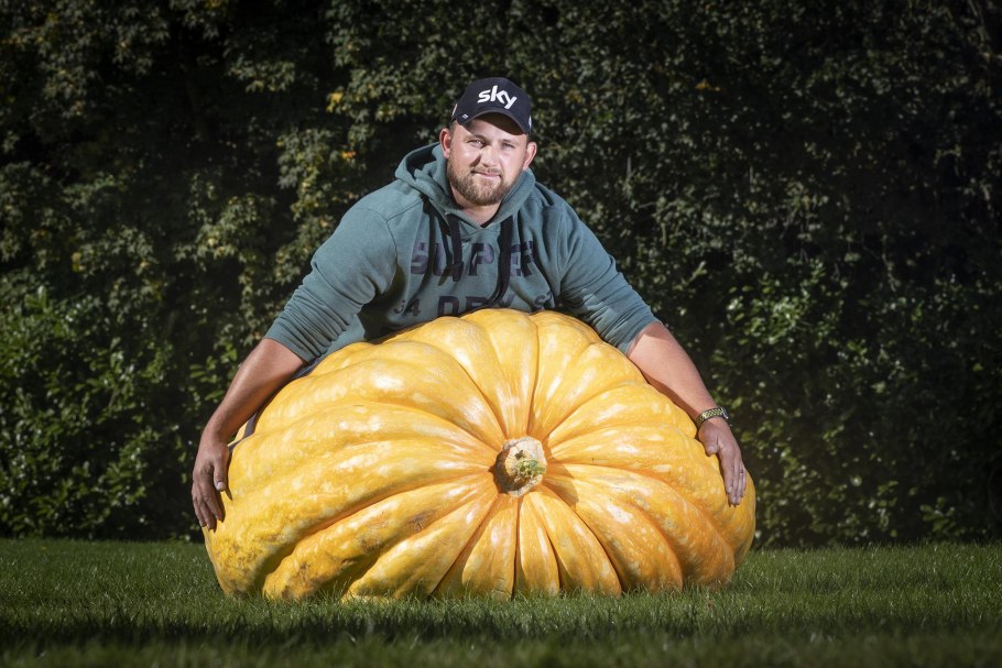 Тыква Голиаф