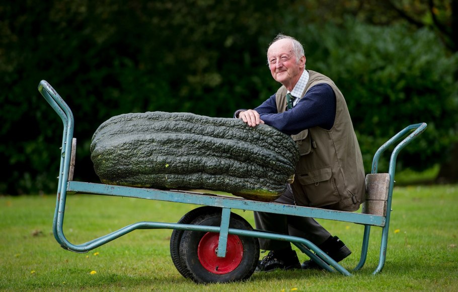 Питер Глейзбрук