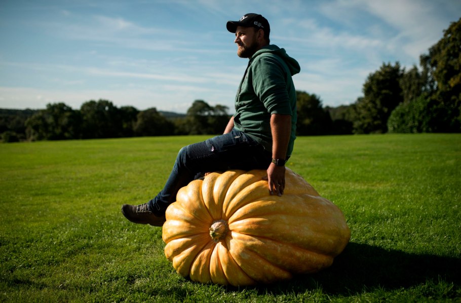 Harvest Festival в Англии