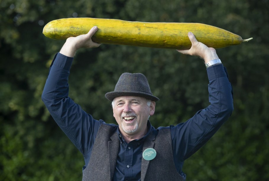 Гигантский огурец