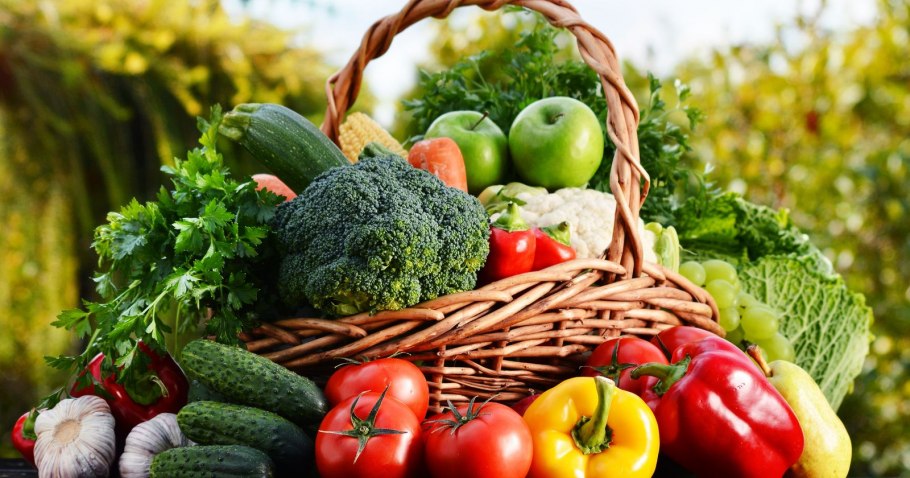 Растительная пища