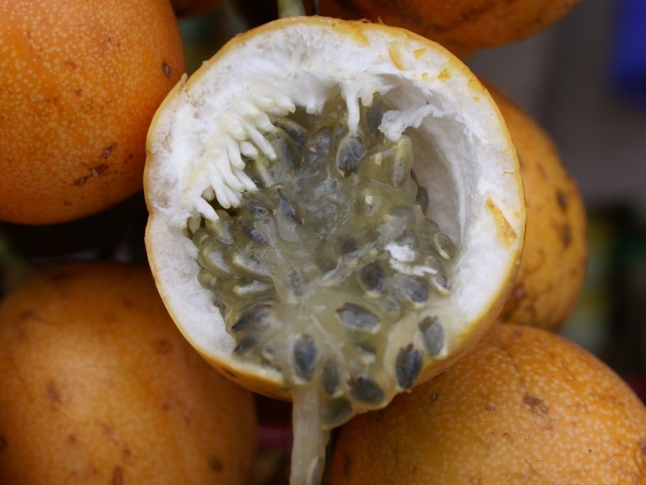 Экзотические фрукты в магните