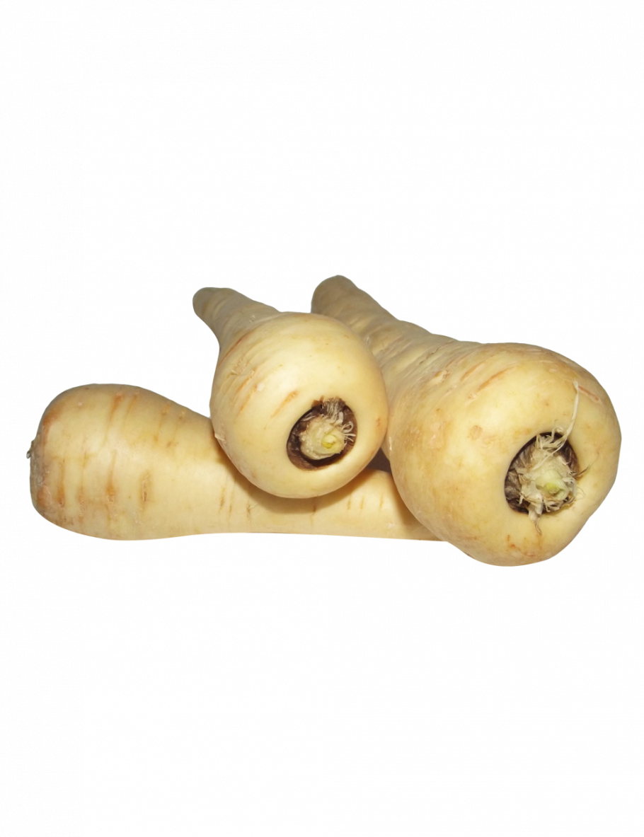 Фрукты Пастернак овощ