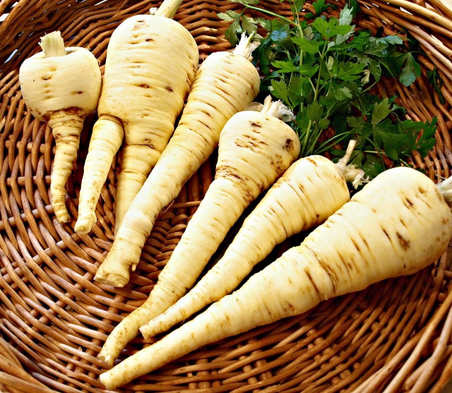 Белый корень Пастернак