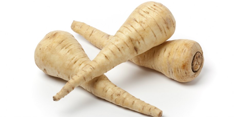 Пастернак растение петрушка